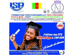 Institut Supérieur Professionnel (ISP)