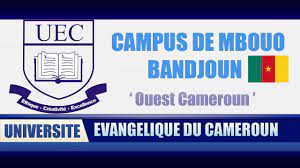 Institut Universitaire Evangélique du Cameroun